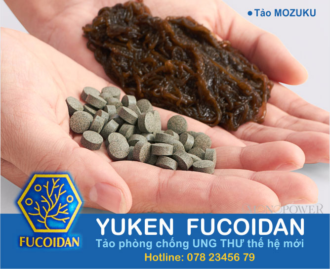 yuken-fucoidan-điều-trị-ung-thư
